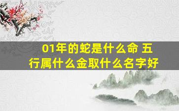 01年的蛇是什么命 五行属什么金取什么名字好